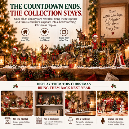 Kind Ears, Brighter Days — 24-Day Donkey Christmas Collection